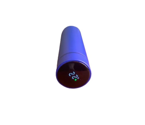 DailyNest™ NestTherm Pro – Smart Temperature Flask